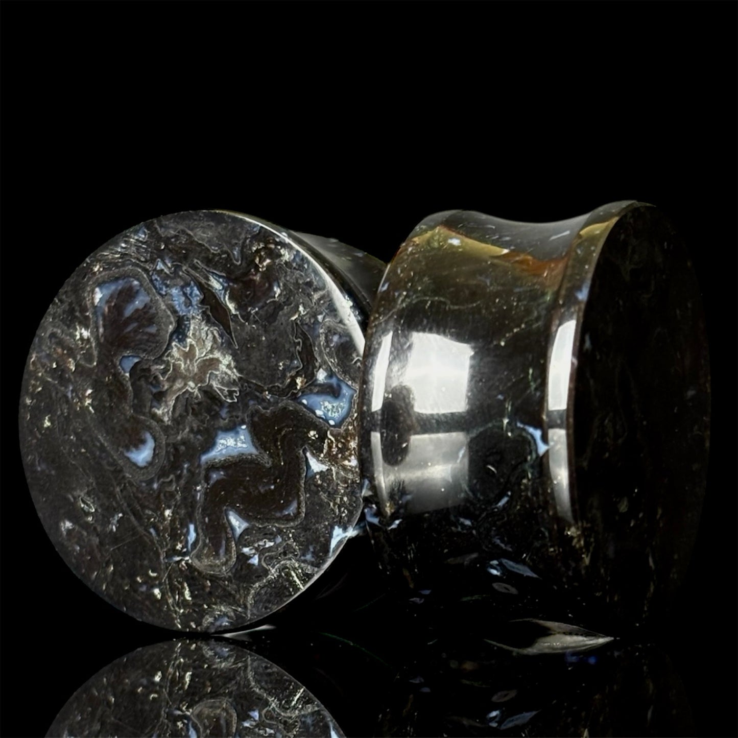 1” / 25mm Petrified Palm Root