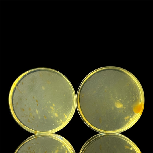 5/8” / 16mm Yellow Amber