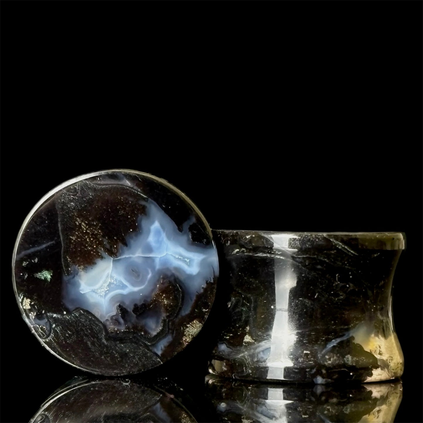 5/8” / 16mm Petrified Palm Root