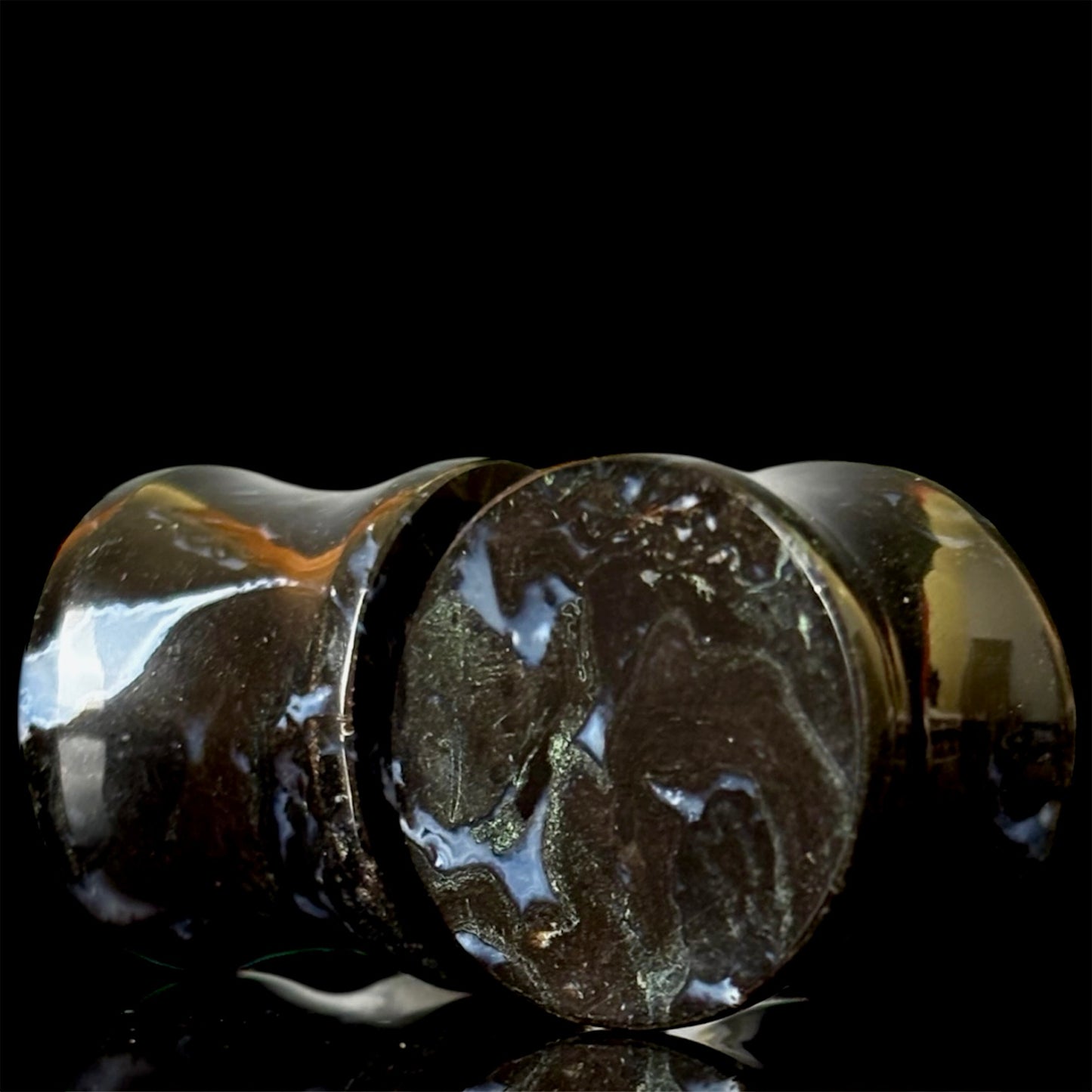 5/8” / 16mm Petrified Palm Root
