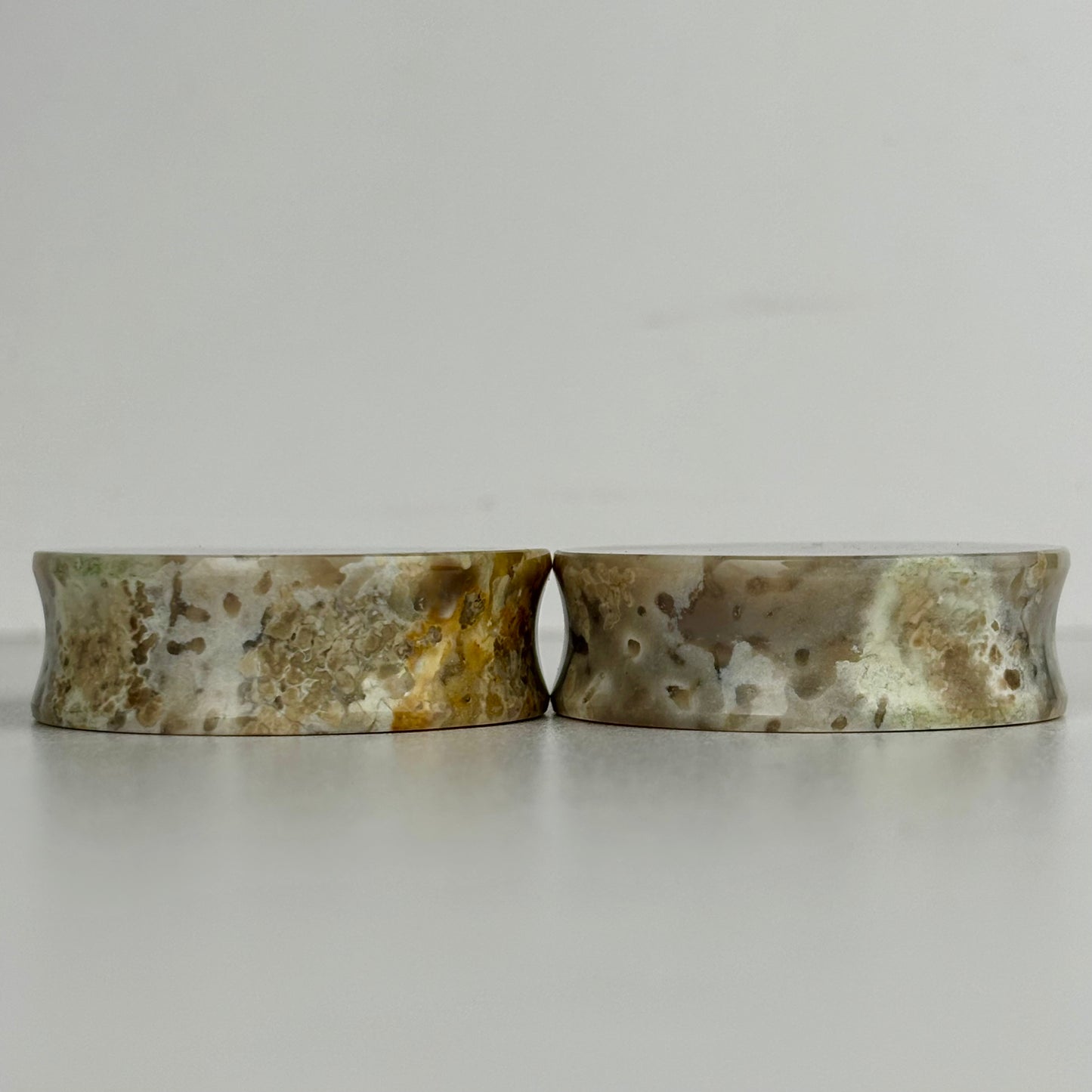 Agatized Palmwood 1 1/12"  (38mm)