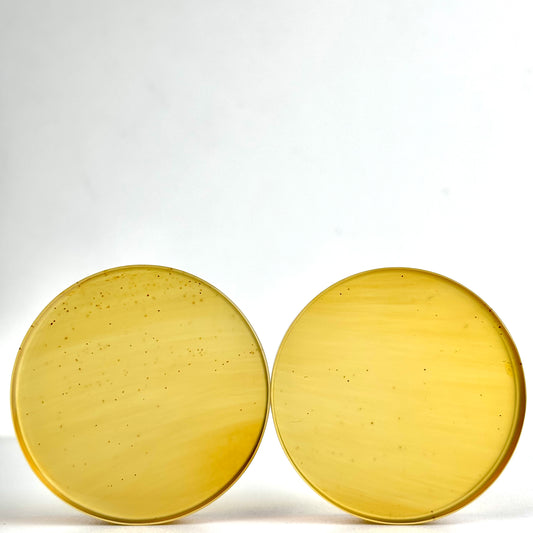 Amber 2" (50mm)