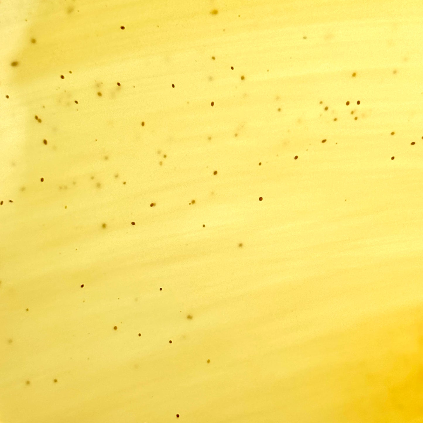Amber 2" (50mm)