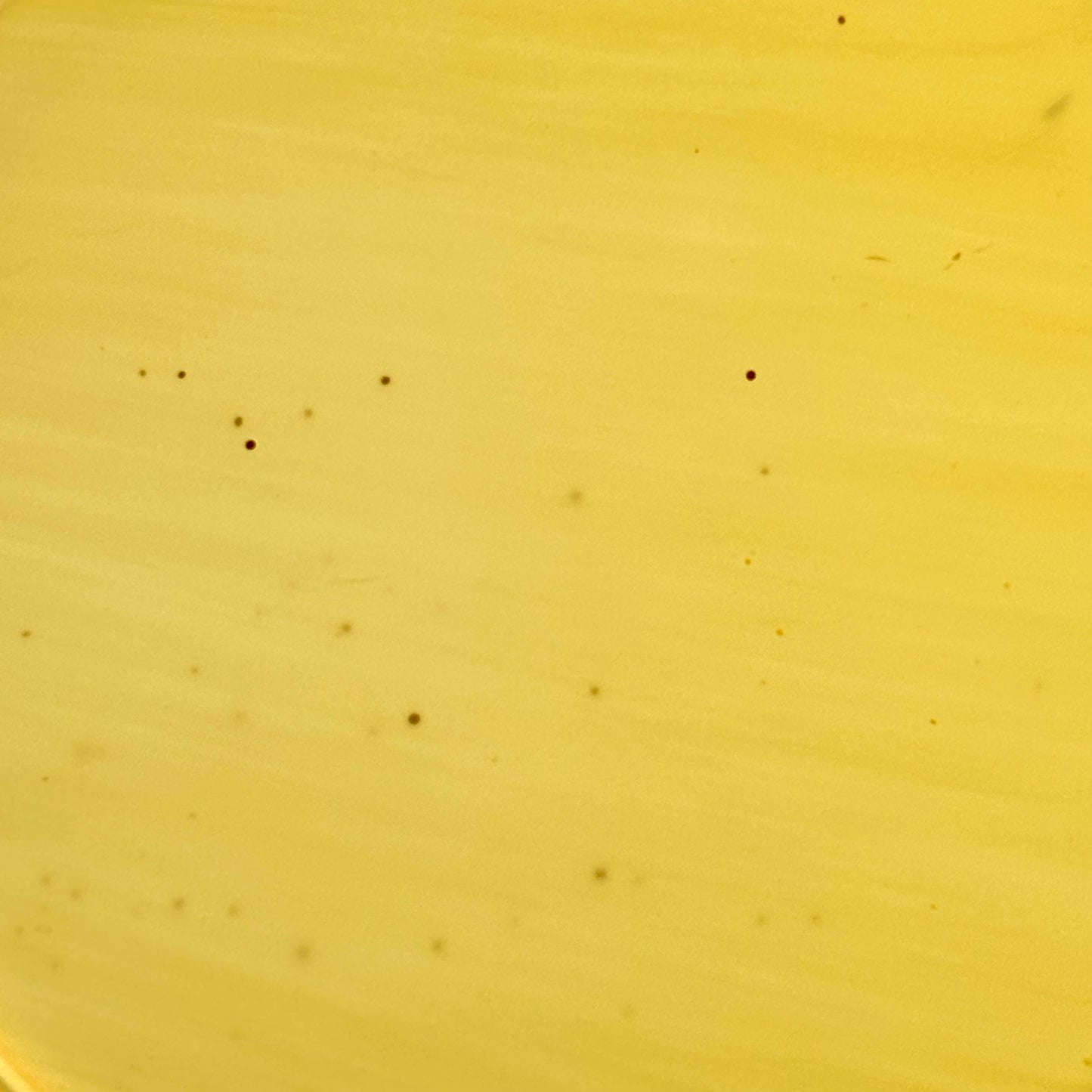 Amber 2" (50mm)