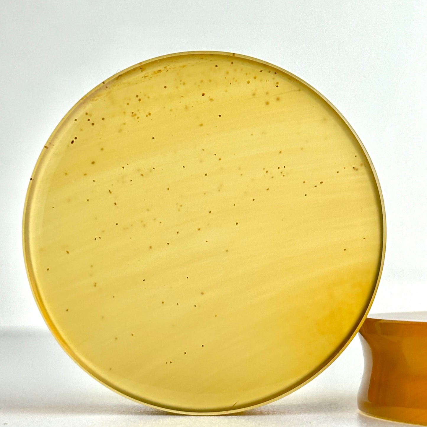 Amber 2" (50mm)