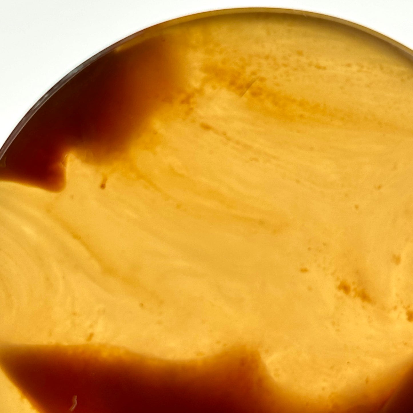 Amber 1 9/16" (40mm)