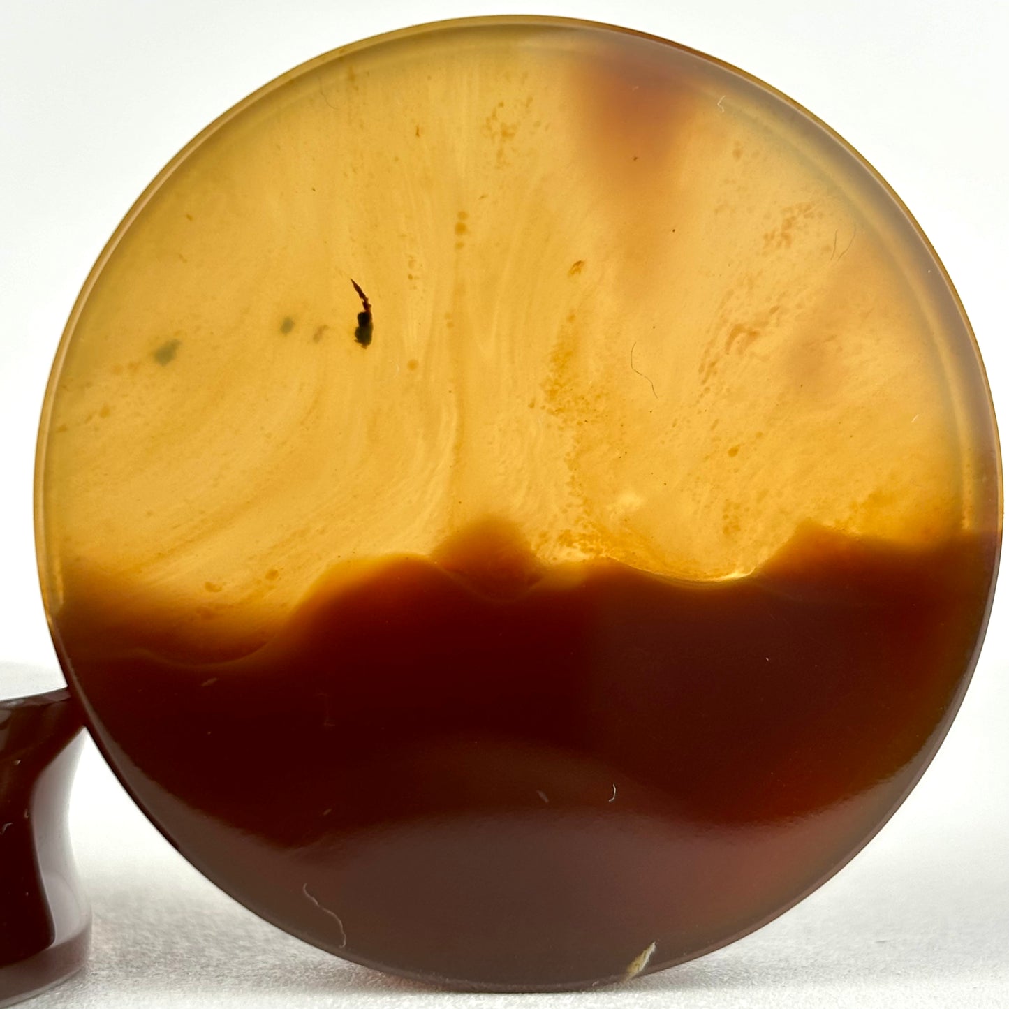 Amber 1 9/16" (40mm)