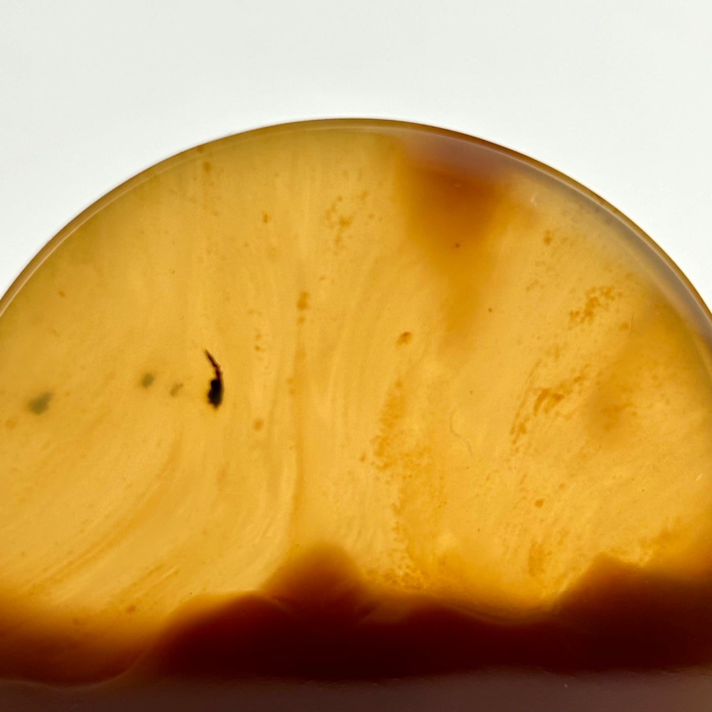 Amber 1 9/16" (40mm)