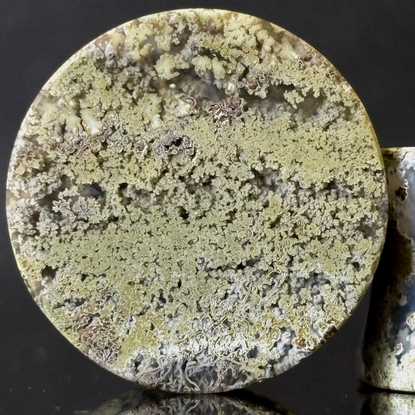 3/4" / 19mm Moss Agate
