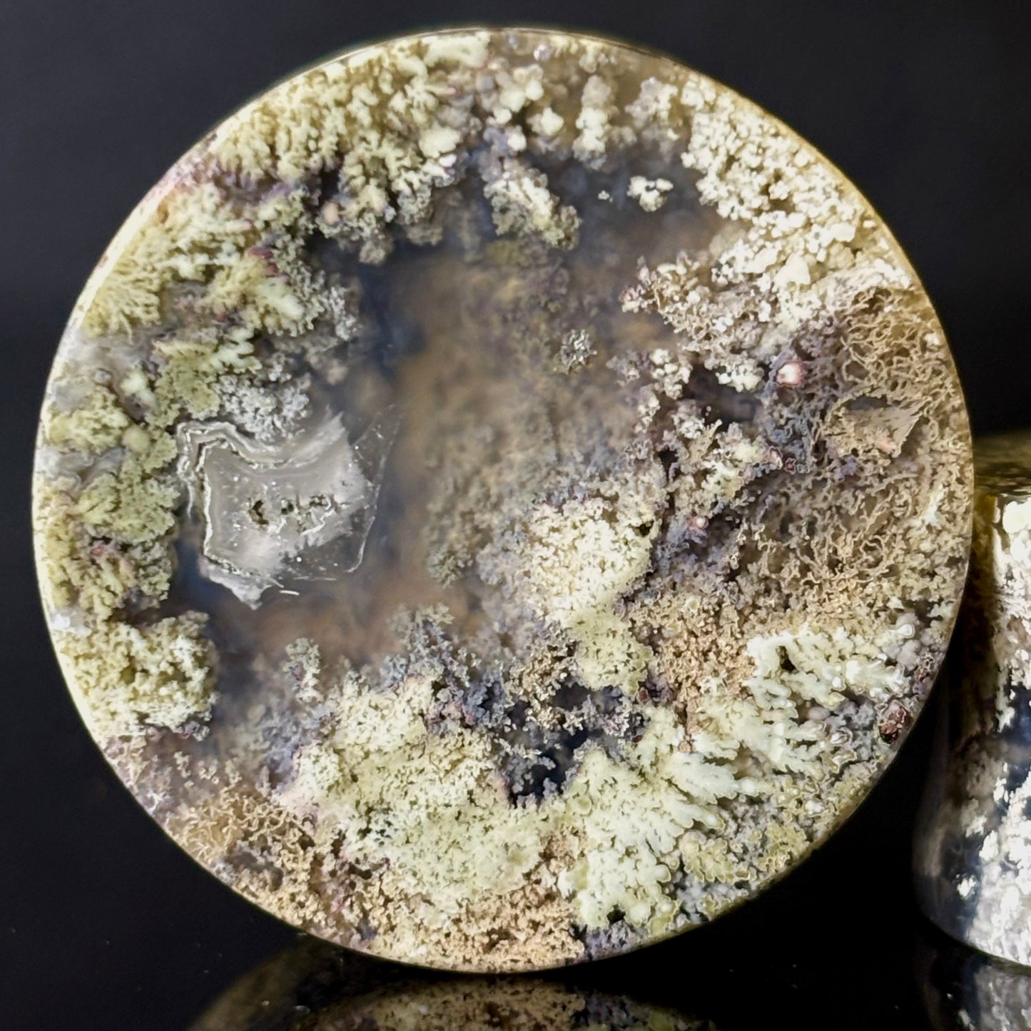 1" / 25mm Moss Agate