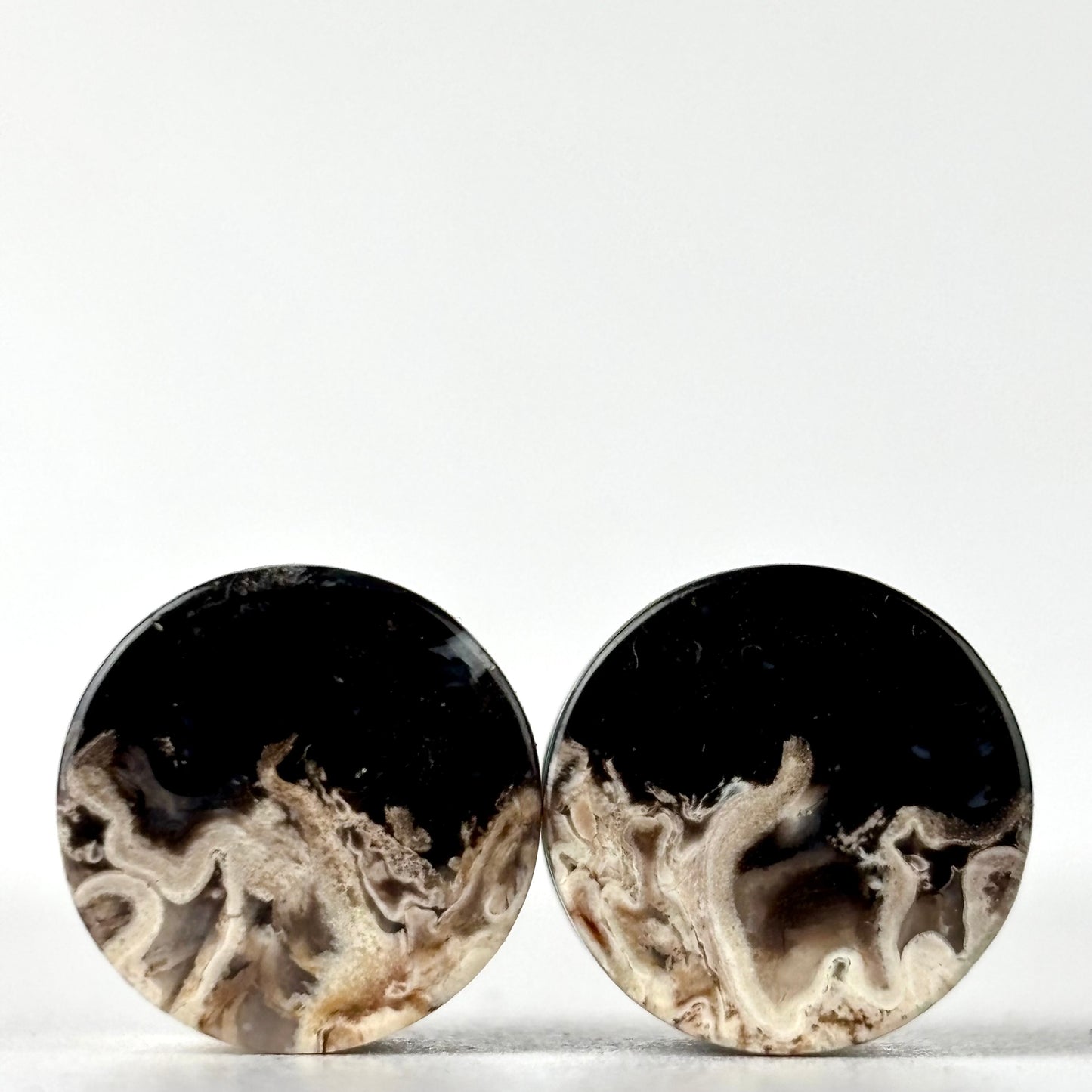 1/2" Petrified Palm Root