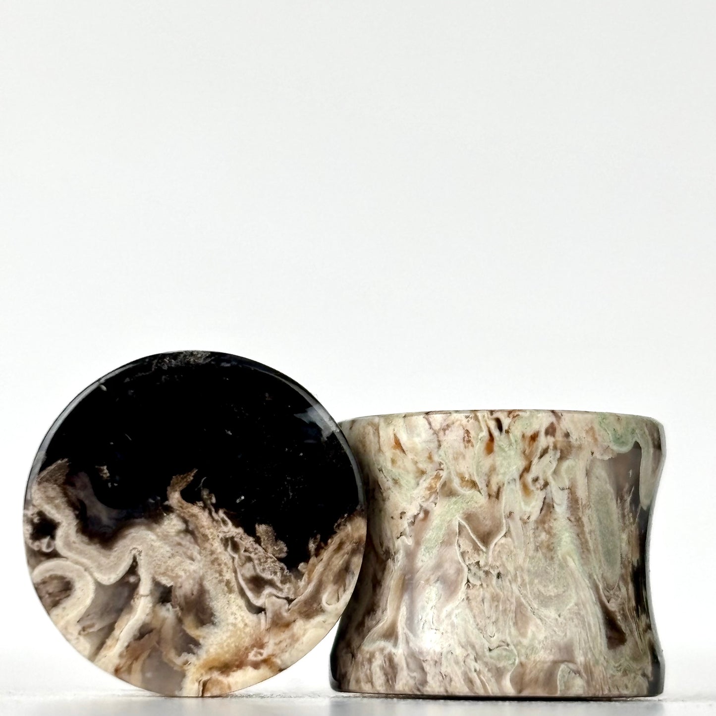 1/2" Petrified Palm Root