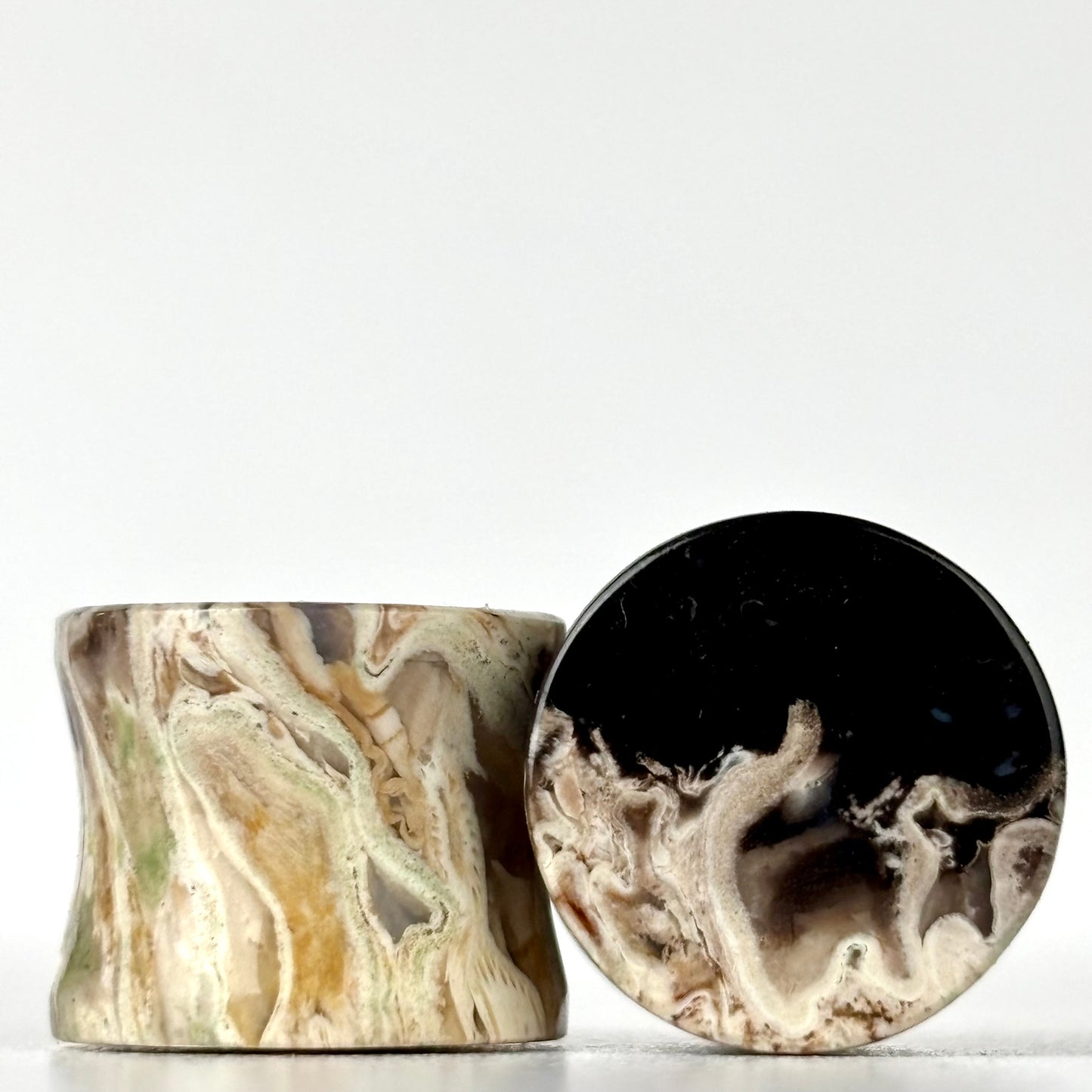 1/2" Petrified Palm Root