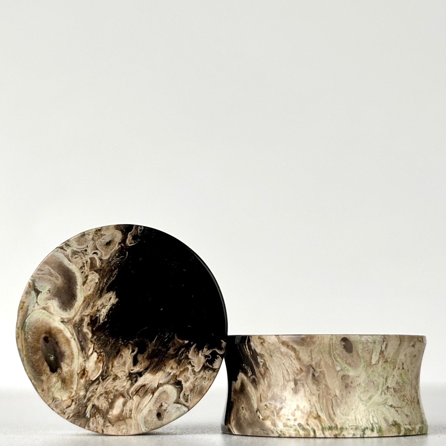 1" / 25mm Petrified Palm Root