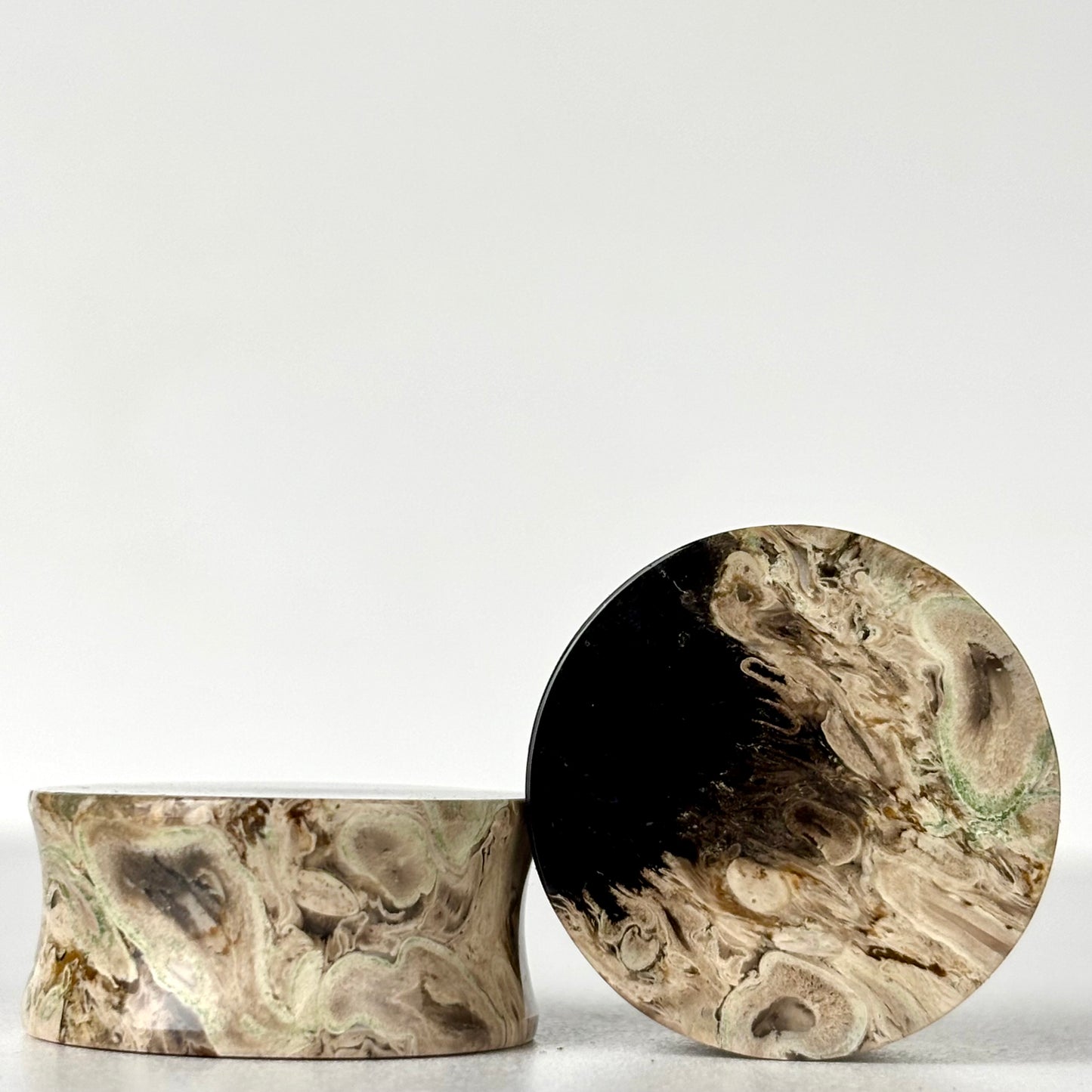 1" / 25mm Petrified Palm Root