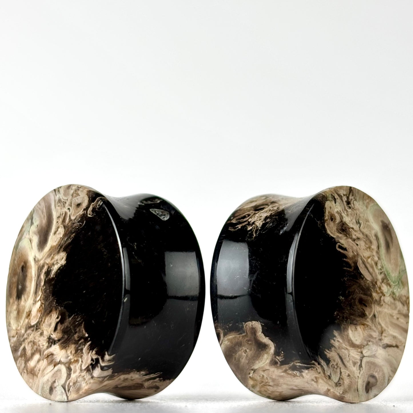 1" / 25mm Petrified Palm Root