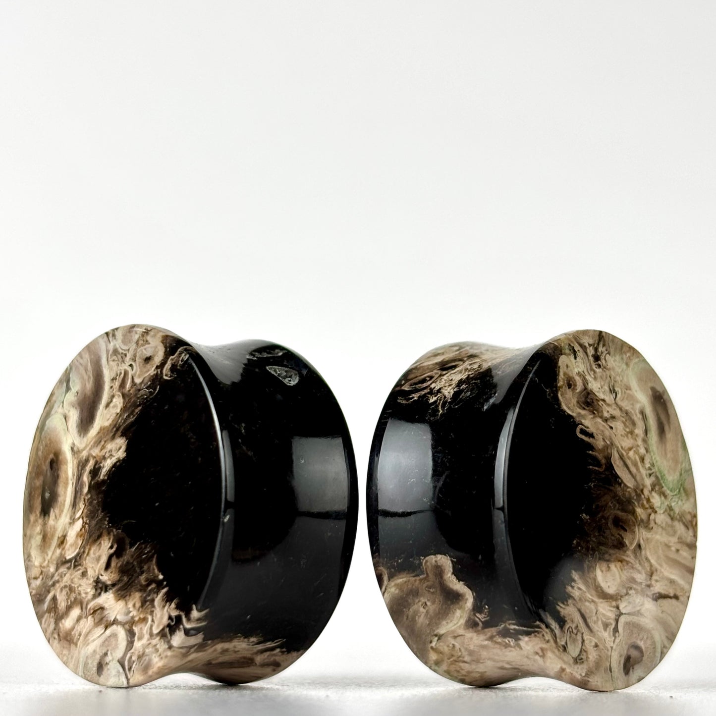 1" / 25mm Petrified Palm Root