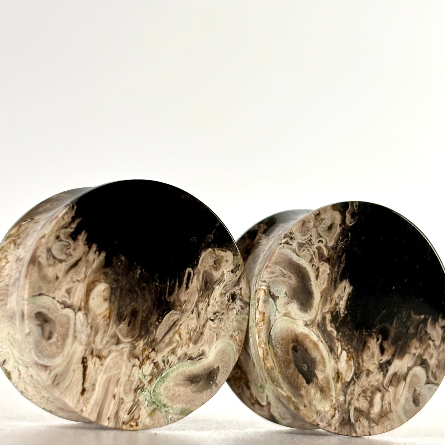1" / 25mm Petrified Palm Root