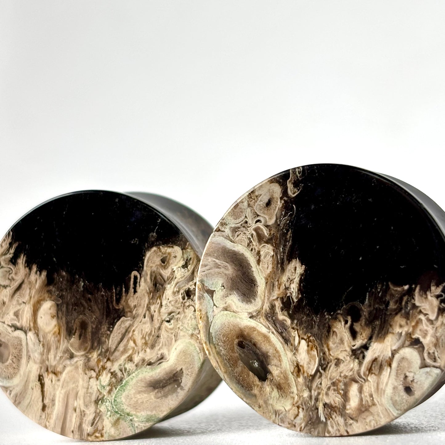 1" / 25mm Petrified Palm Root