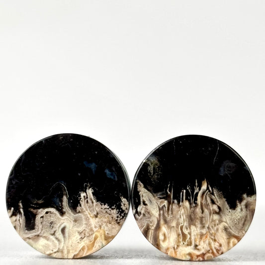 1/2" / 12mm Petrified Palm Root