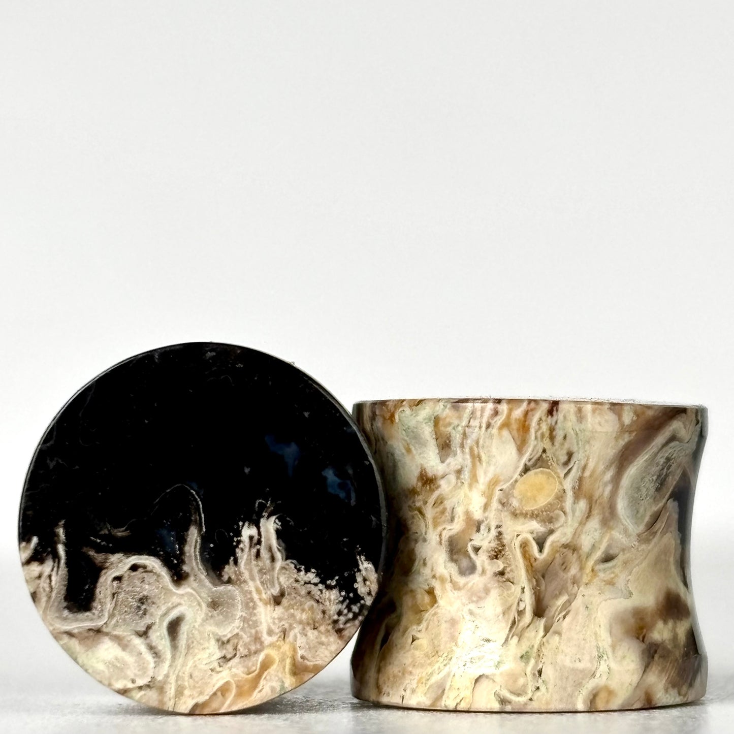 1/2" / 12mm Petrified Palm Root