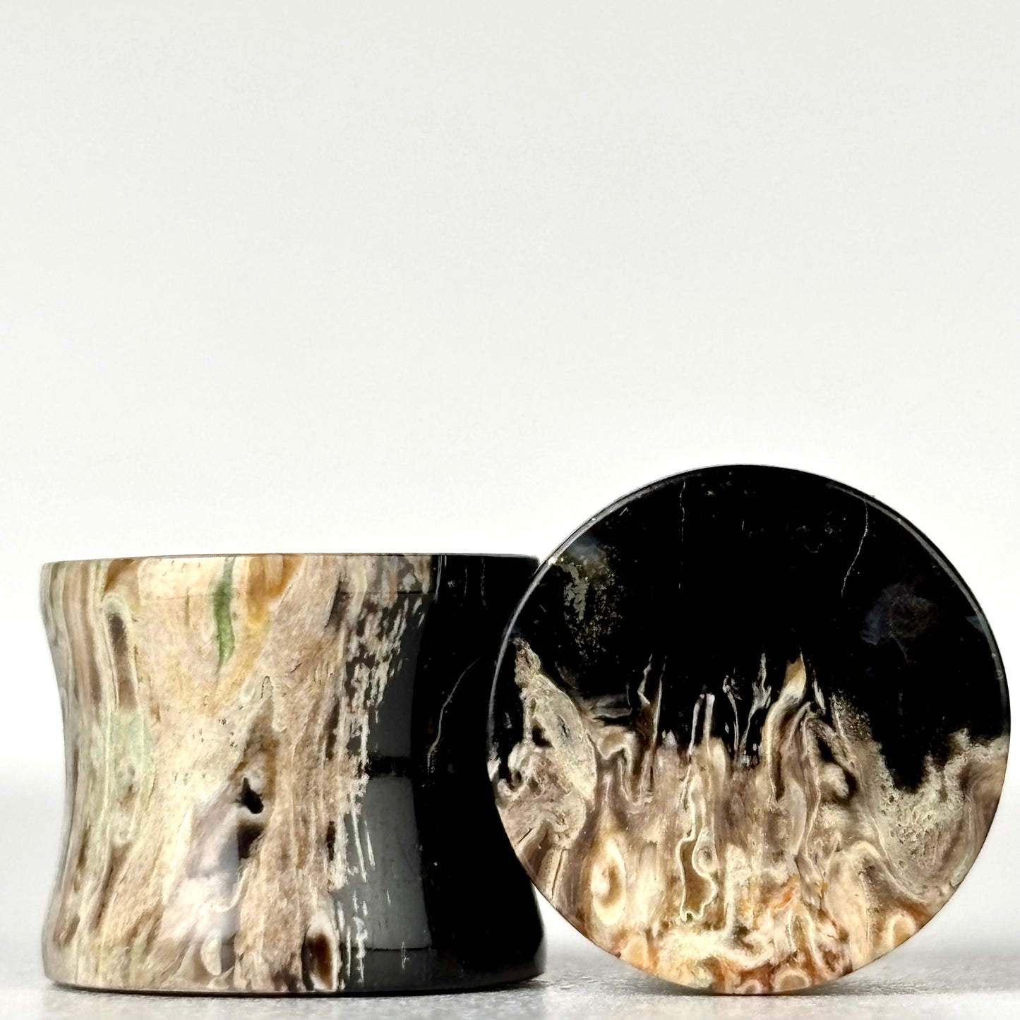 1/2" / 12mm Petrified Palm Root
