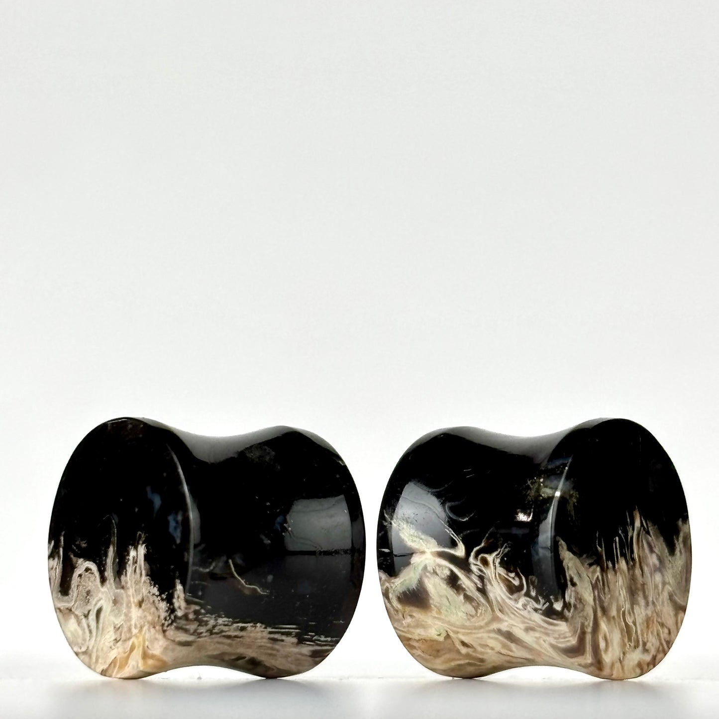 1/2" / 12mm Petrified Palm Root