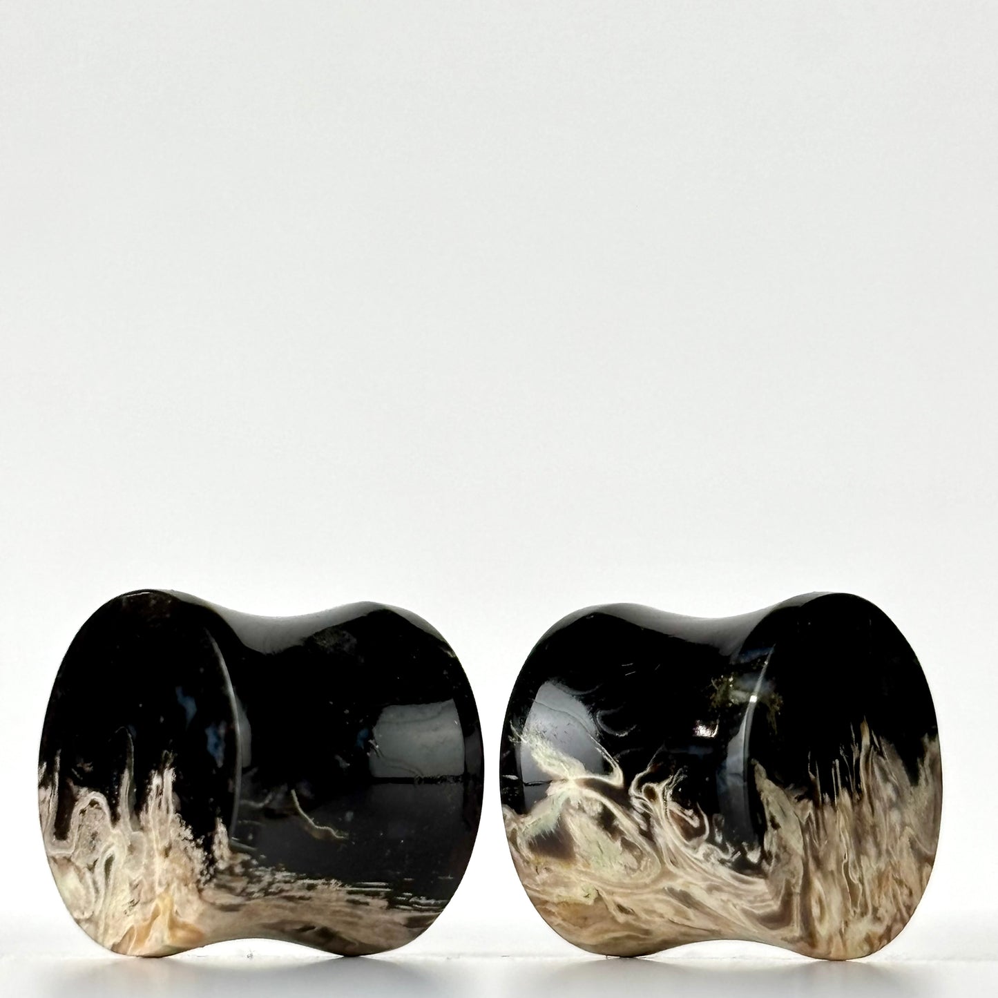 1/2" / 12mm Petrified Palm Root