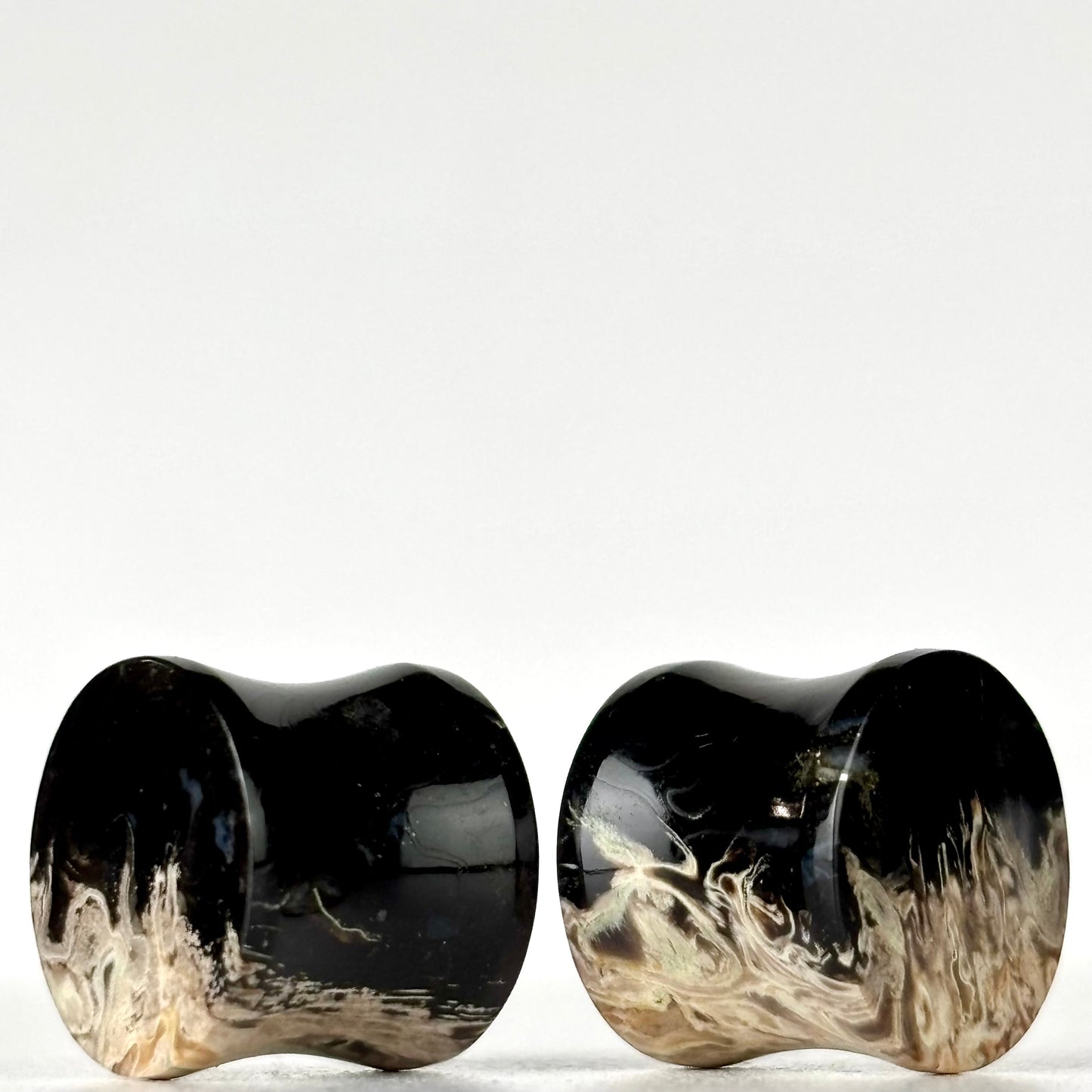 1/2" / 12mm Petrified Palm Root