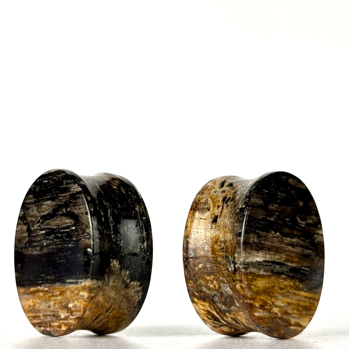 7/8" / 22mm Gems bone