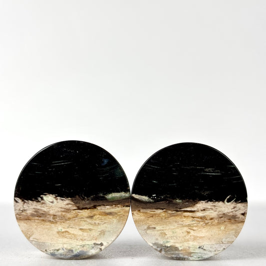 7/8" / 22mm Petrified Palm Root