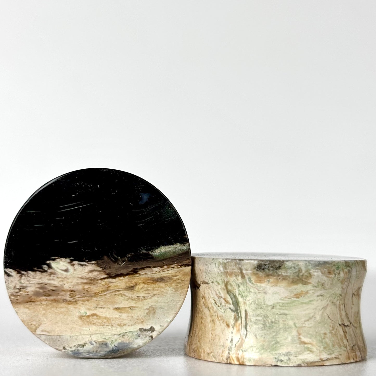 7/8" / 22mm Petrified Palm Root