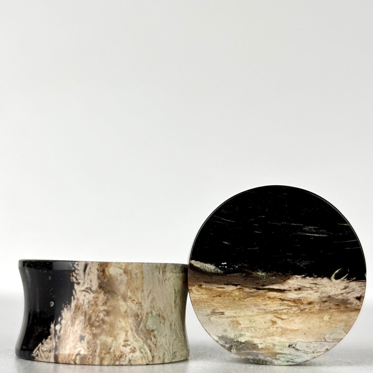 7/8" / 22mm Petrified Palm Root