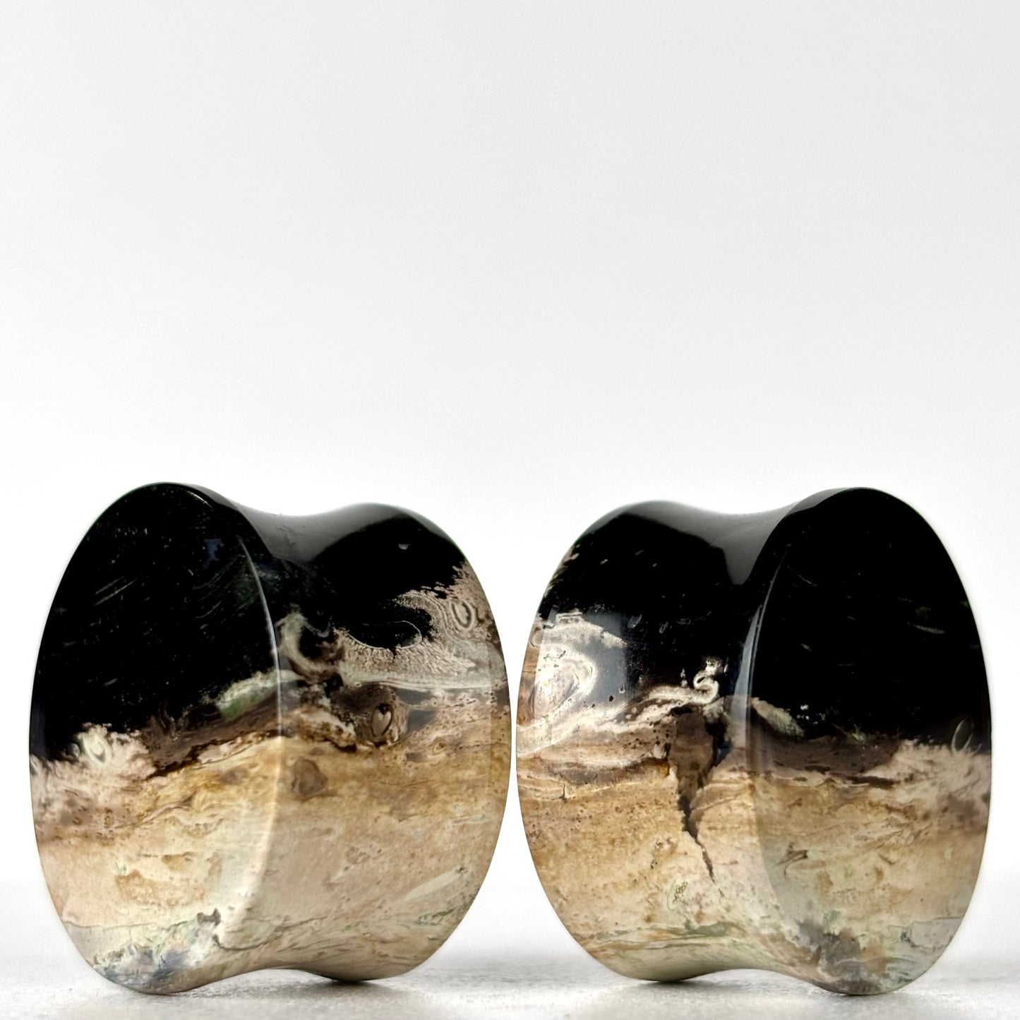 7/8" / 22mm Petrified Palm Root