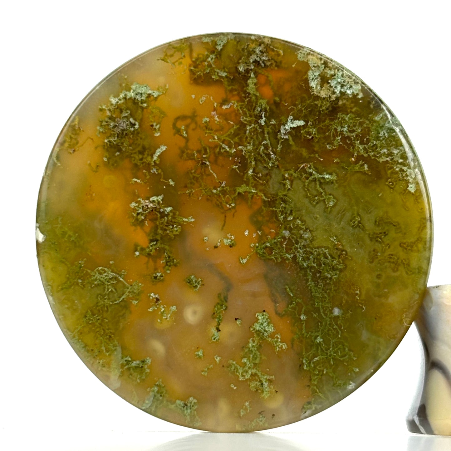 Timor Agate With Moss 1" (25mm)