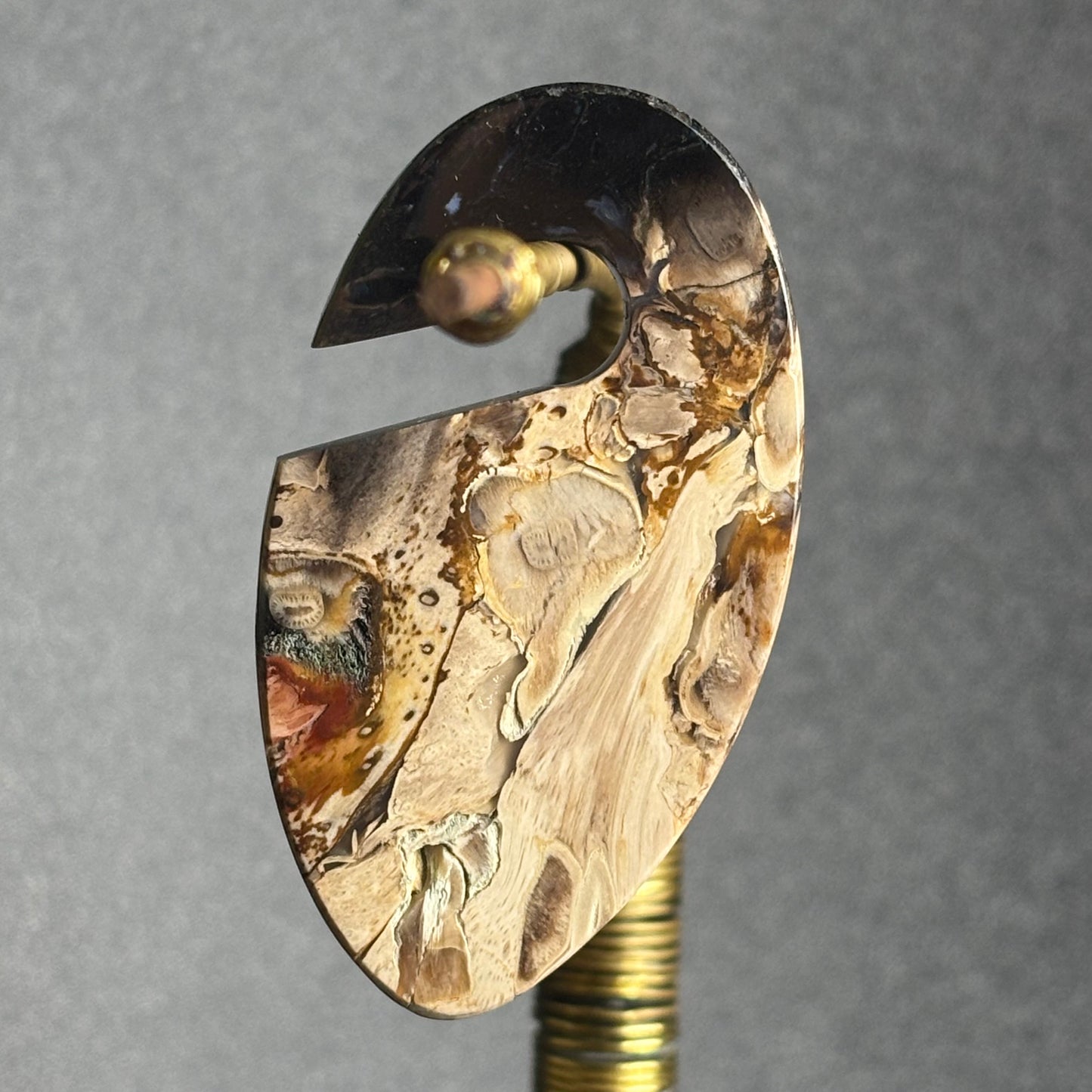 Petrified Palm Root Ear Weight