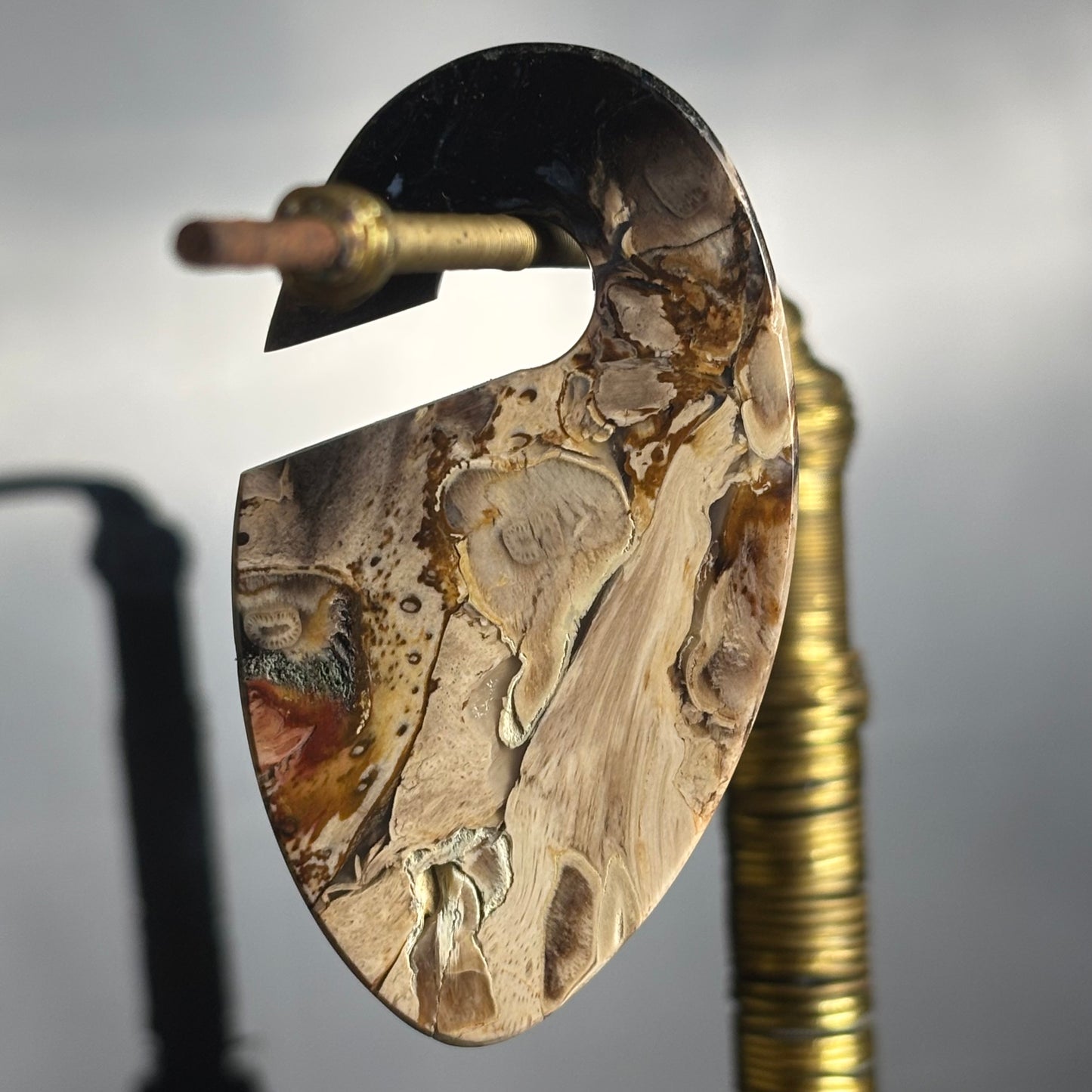 Petrified Palm Root Ear Weight