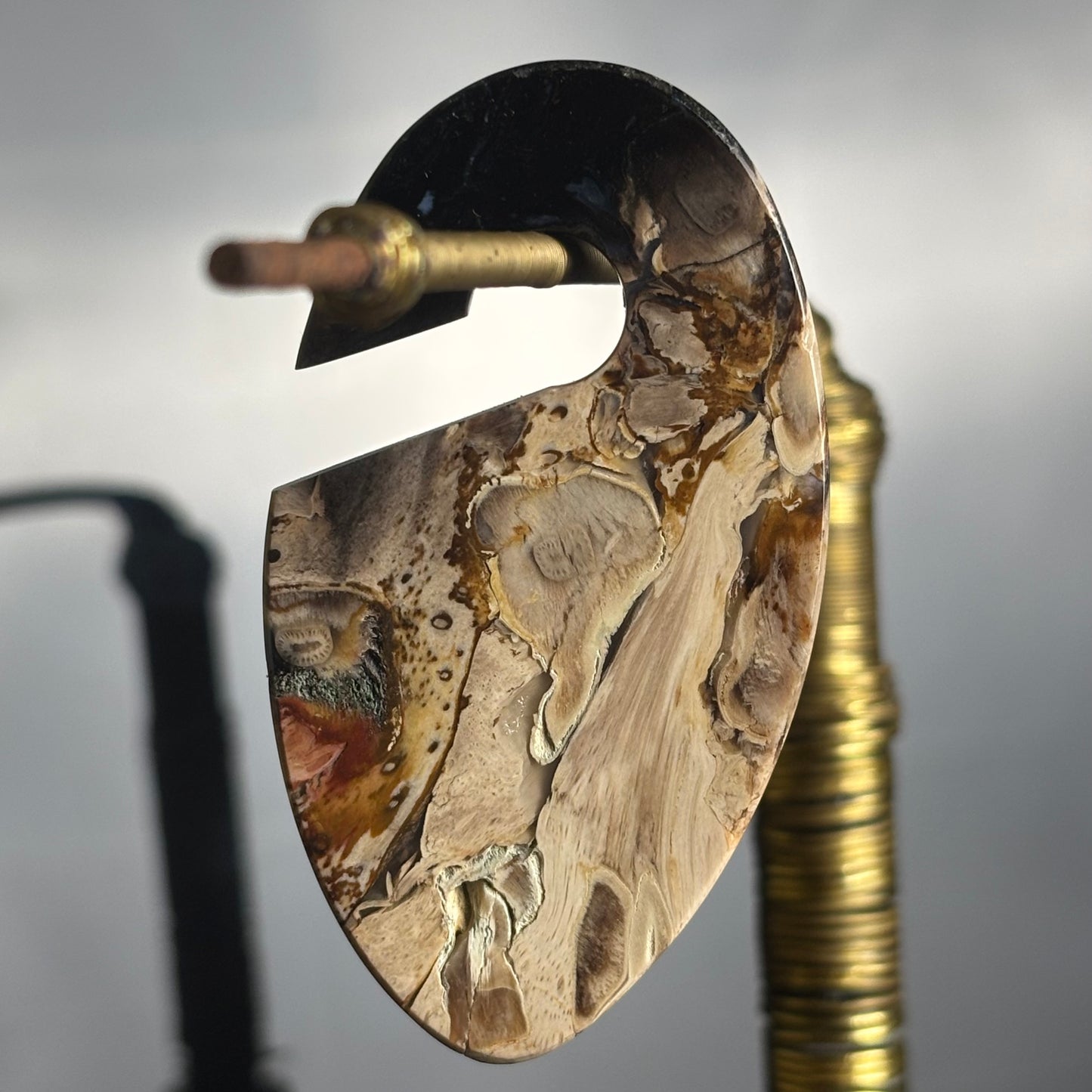 Petrified Palm Root Ear Weight