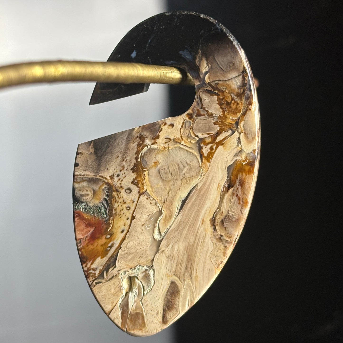 Petrified Palm Root Ear Weight