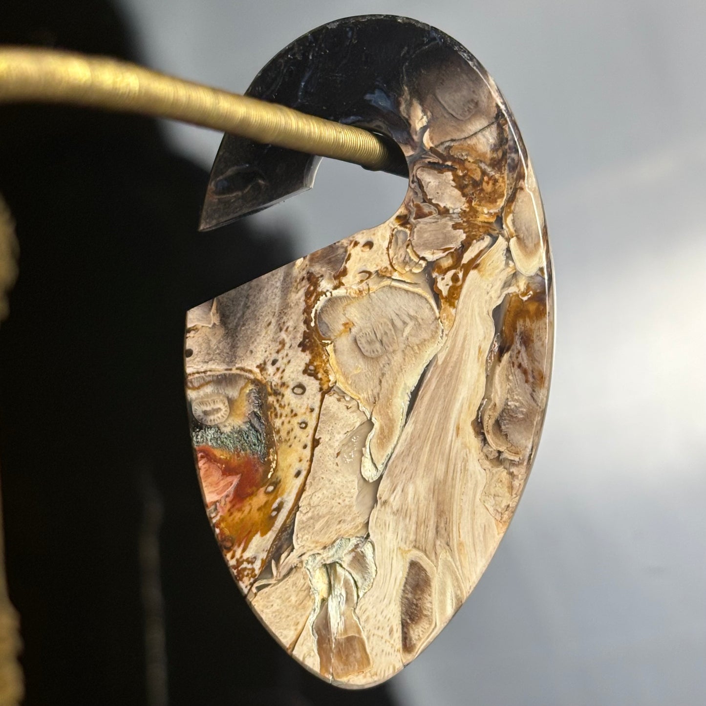 Petrified Palm Root Ear Weight