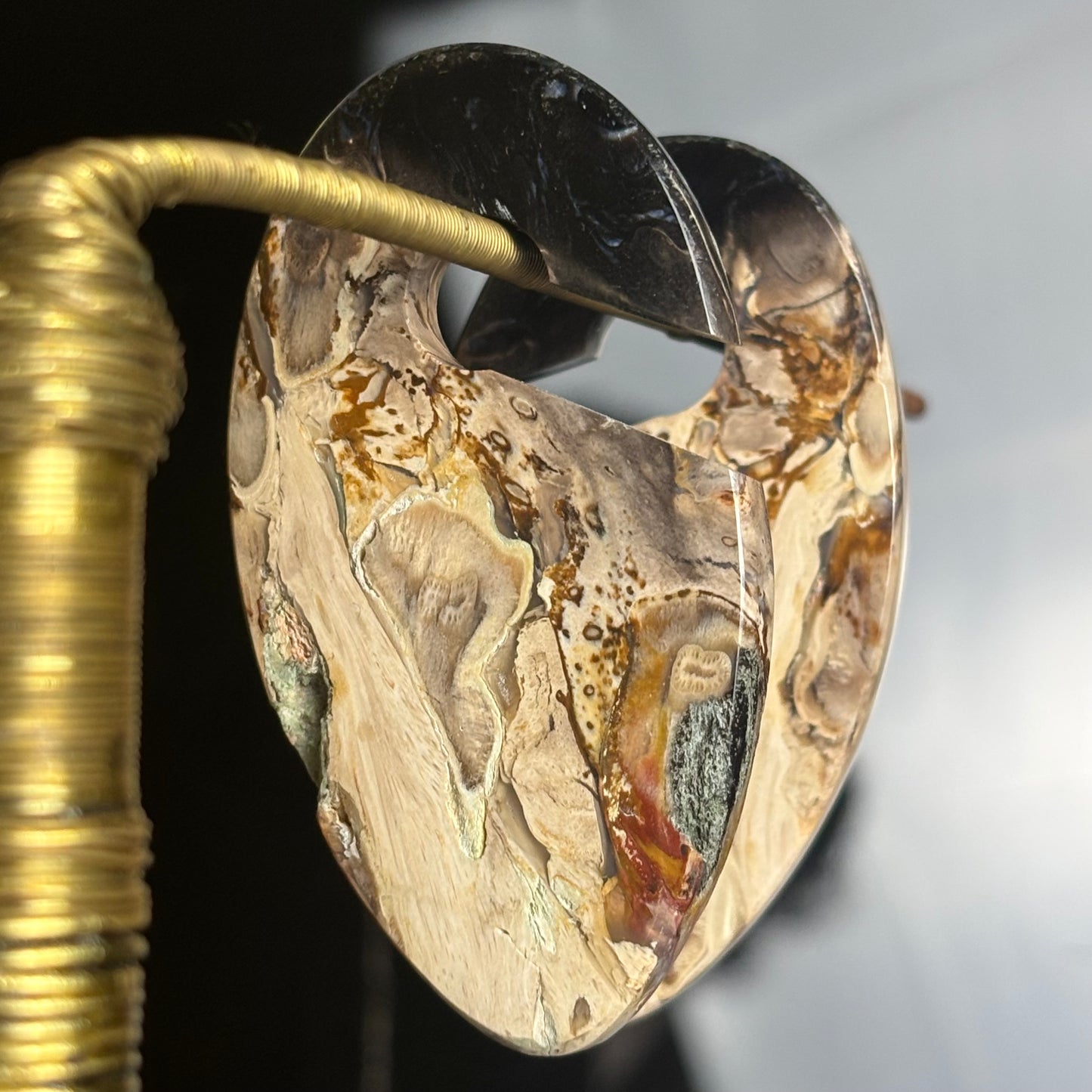 Petrified Palm Root Ear Weight
