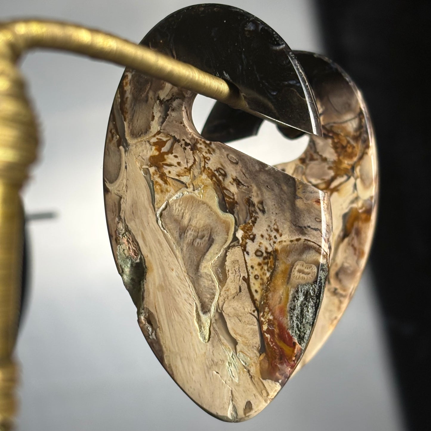 Petrified Palm Root Ear Weight