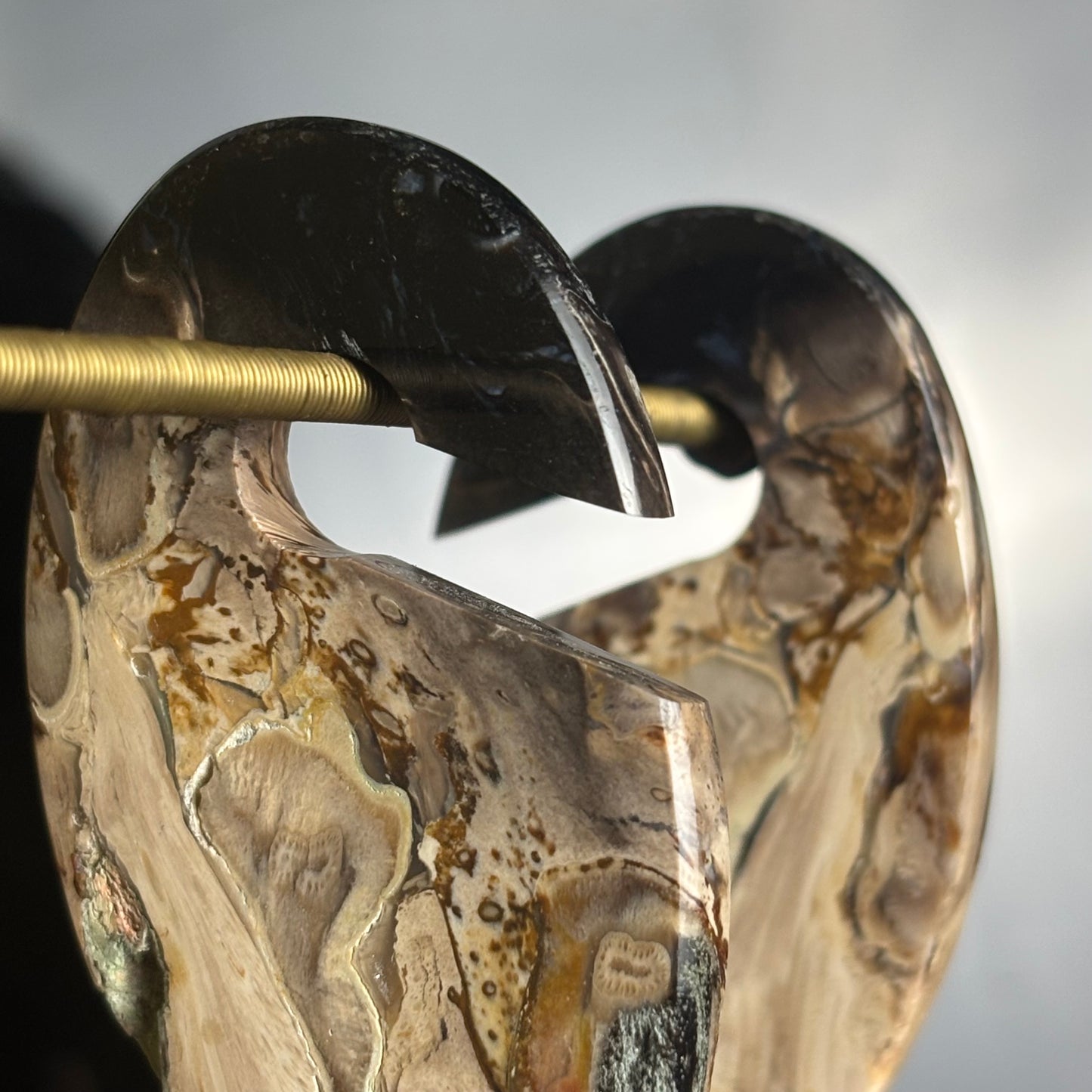 Petrified Palm Root Ear Weight
