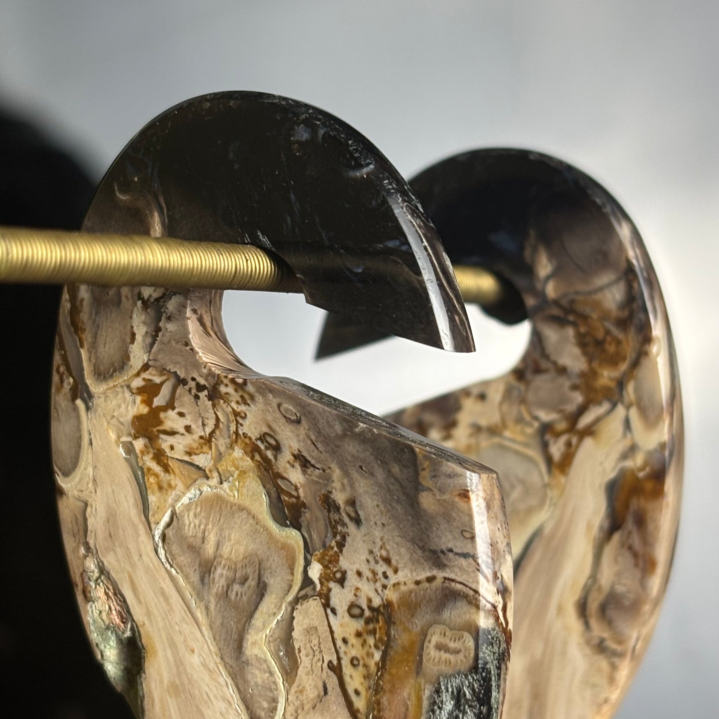 Petrified Palm Root Ear Weight