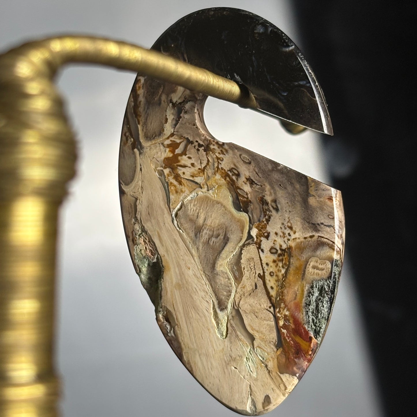 Petrified Palm Root Ear Weight