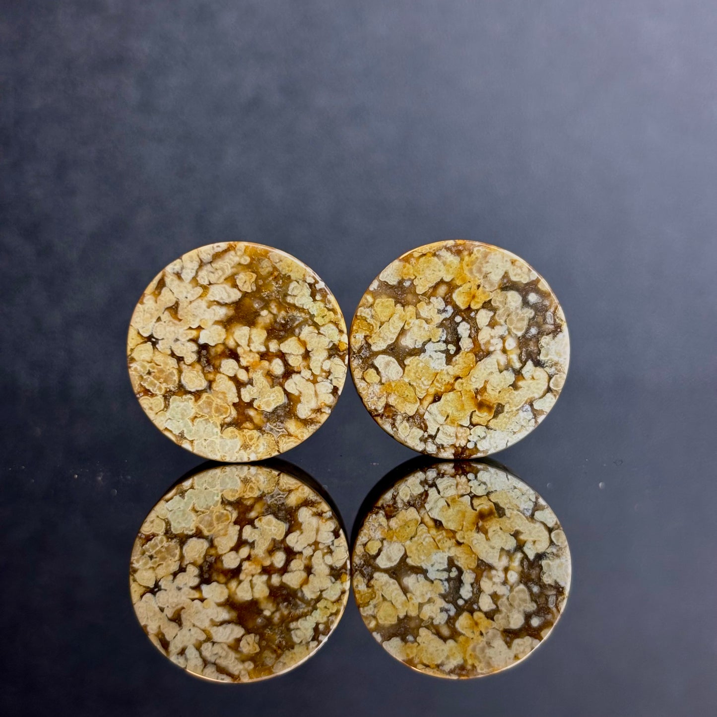 3/4" / 19mm Agatized Palm Wood
