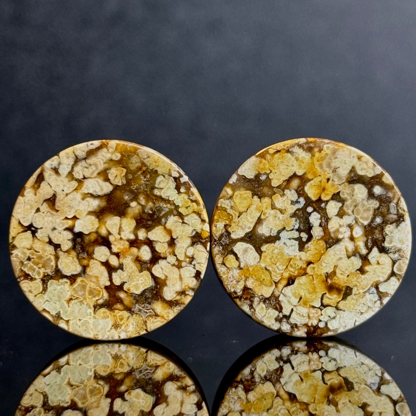 3/4" / 19mm Agatized Palm Wood