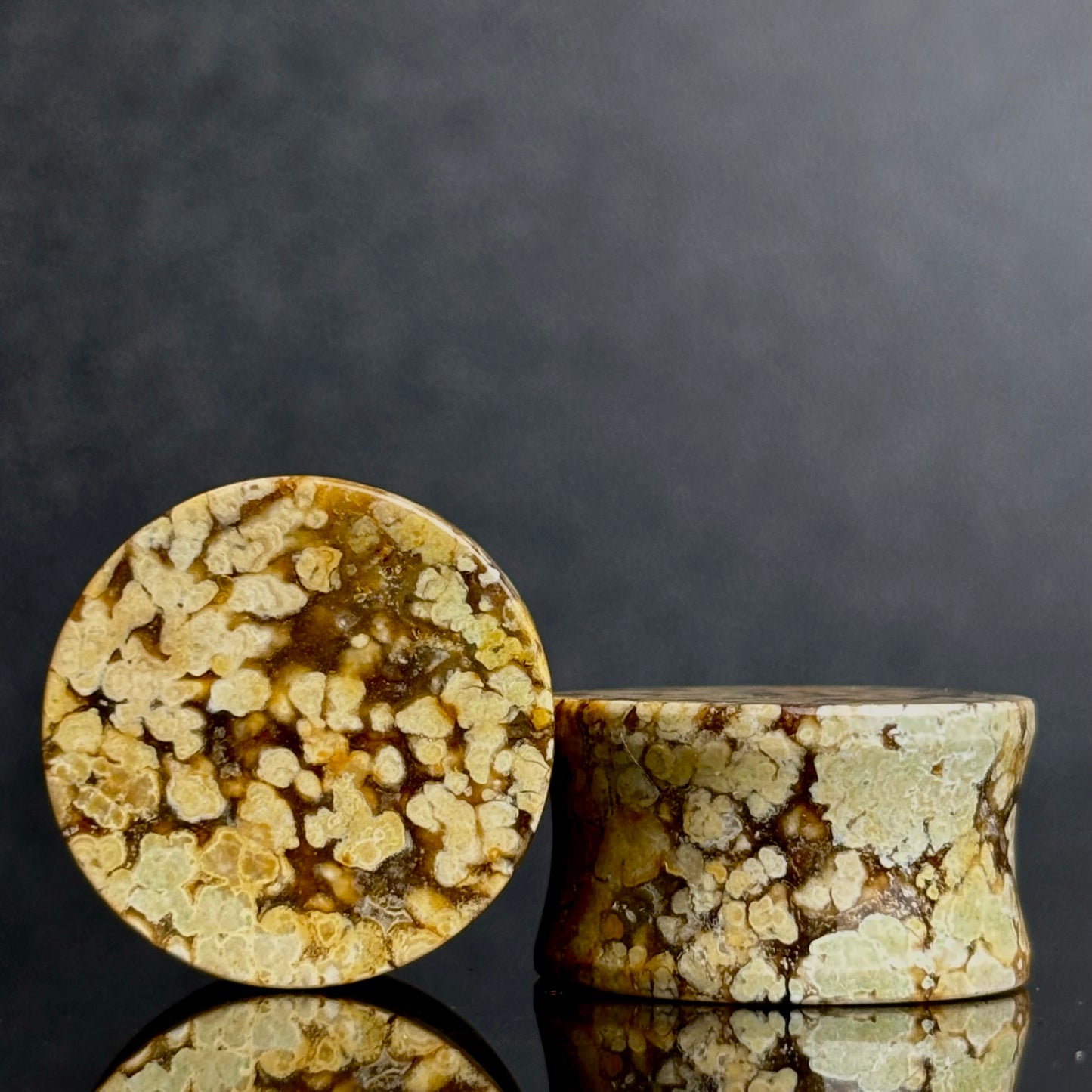 3/4" / 19mm Agatized Palm Wood