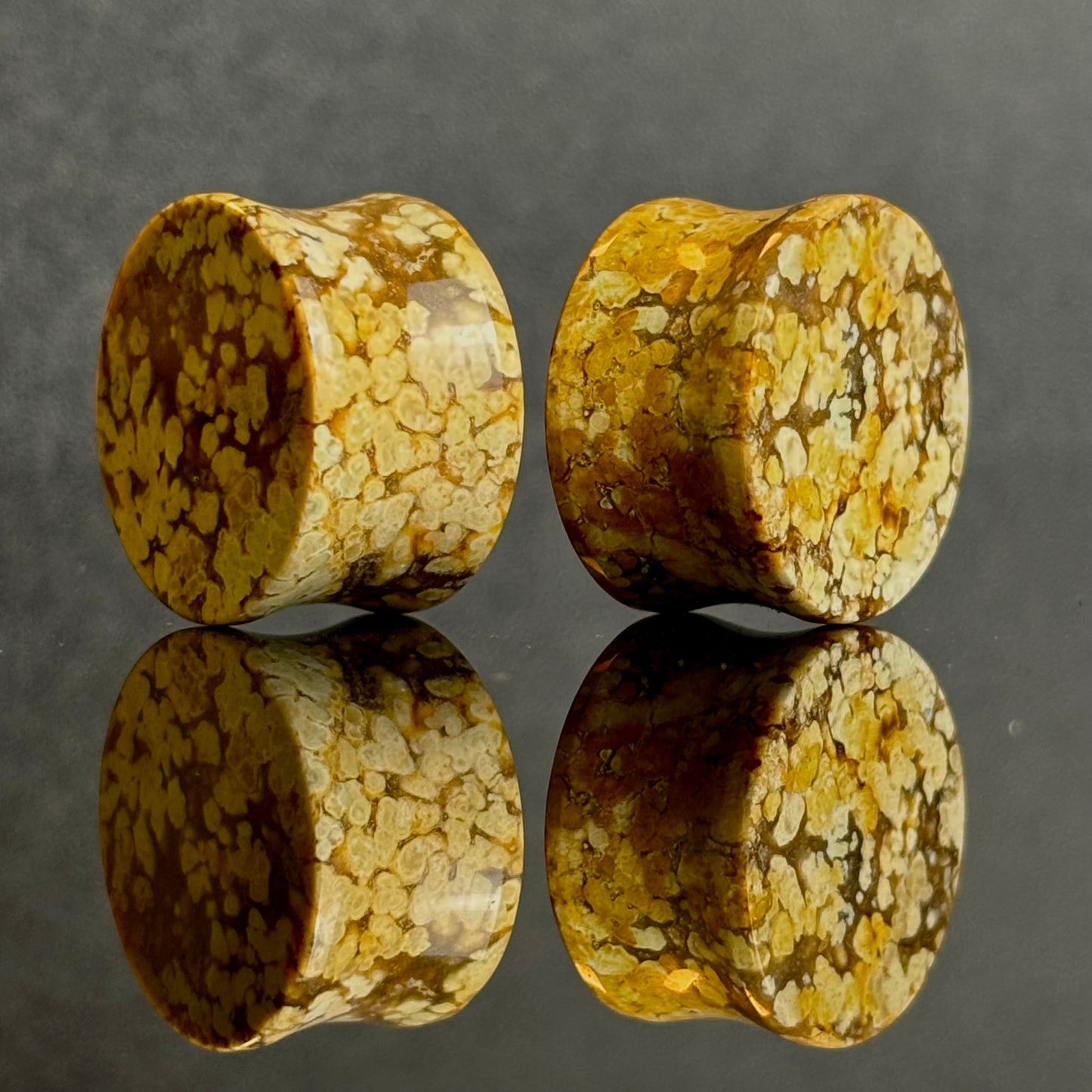 3/4" / 19mm Agatized Palm Wood