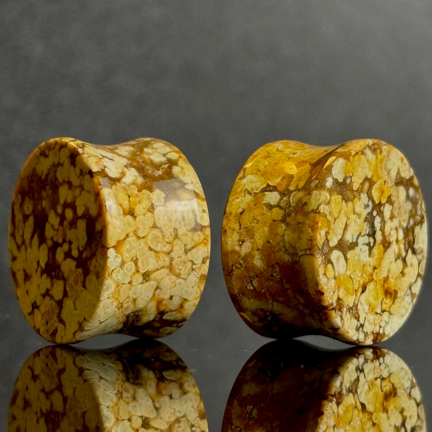 3/4" / 19mm Agatized Palm Wood